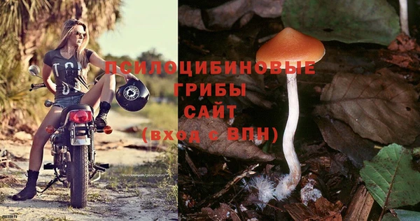 спиды Алзамай