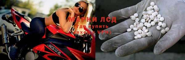 спиды Алзамай