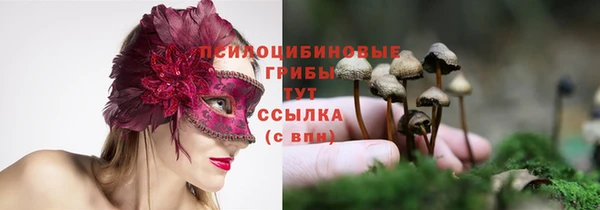 первитин Алексеевка