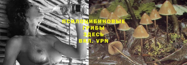 спиды Алзамай