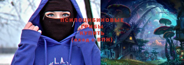 mix Алексин