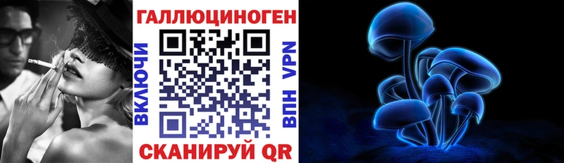 хочу наркоту  Электрогорск  Псилоцибиновые грибы Psilocybine cubensis 