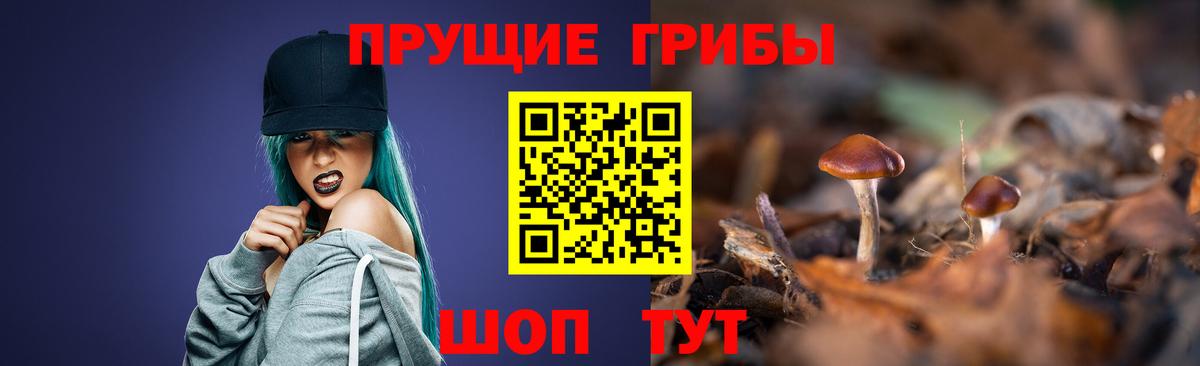Псилоцибиновые грибы Cubensis  Вход с VPN  Электрогорск  Галлюциногенные грибы прущие грибы 